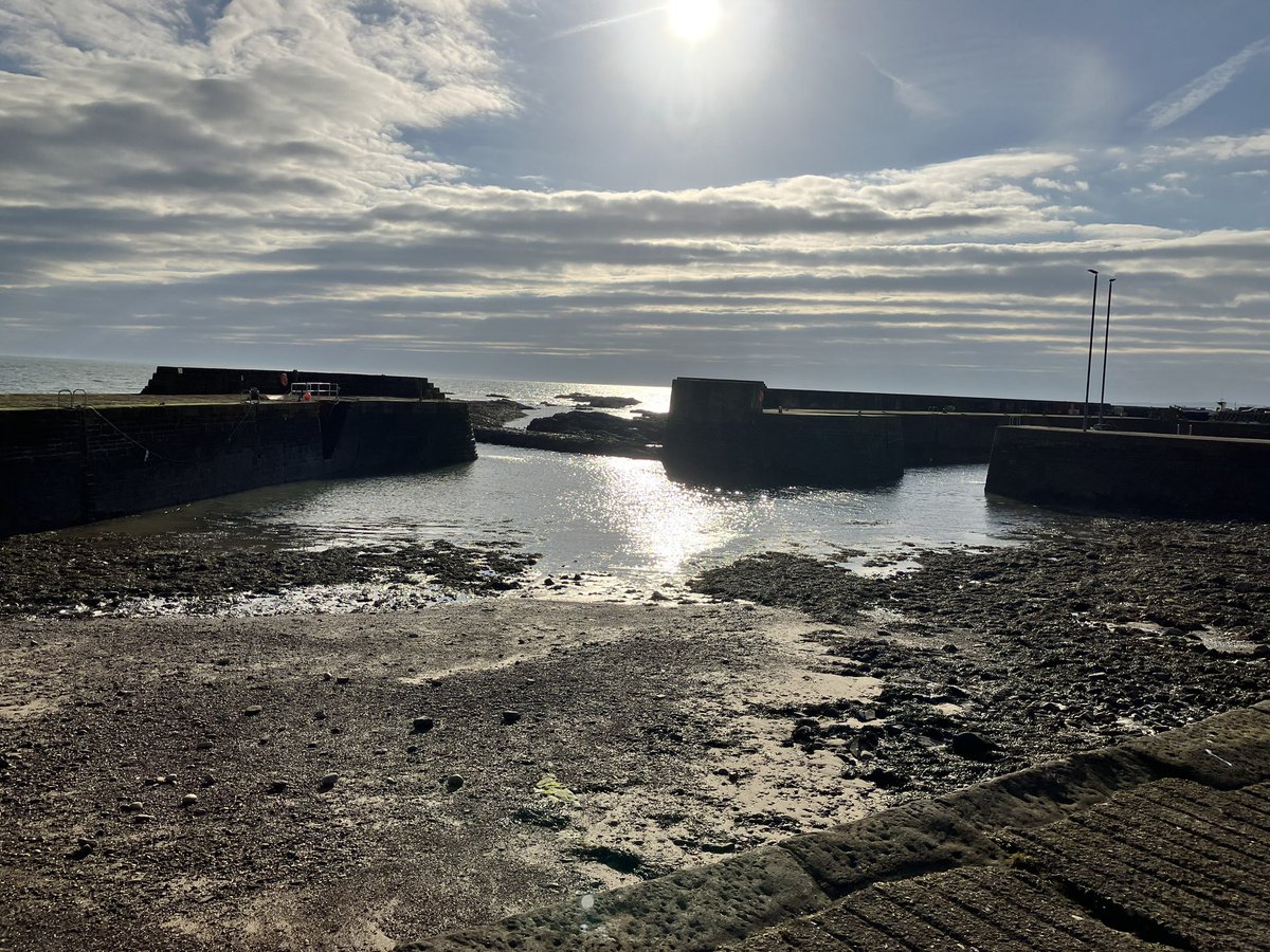 AlisonEvison's tweet photo. Took the scenic #Mearns #Coast @visitabdn to Johnshaven from Inverbervie today for #nhsgstepchallenge2023
@GrampianWeCare 
@NHSGrampian 
Worth a wander even when not counting steps! https://t.co/aDvCjPUhYW