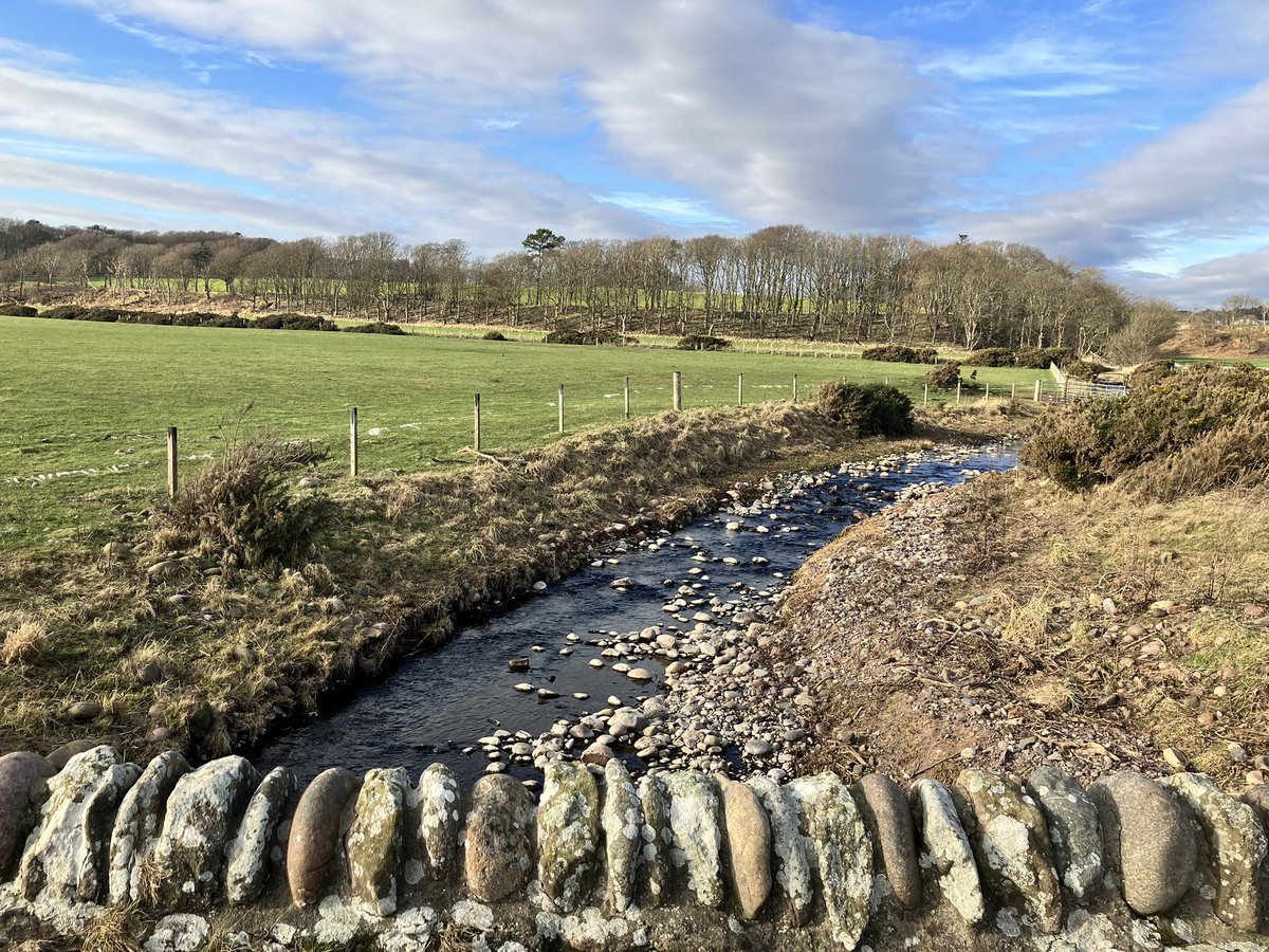 AlisonEvison's tweet photo. Took the scenic #Mearns #Coast @visitabdn to Johnshaven from Inverbervie today for #nhsgstepchallenge2023
@GrampianWeCare 
@NHSGrampian 
Worth a wander even when not counting steps! https://t.co/aDvCjPUhYW