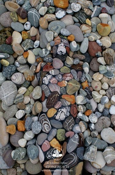 TriniAckee's tweet photo. Lol.... There is a human in there. https://t.co/7NLZJ2nKUL