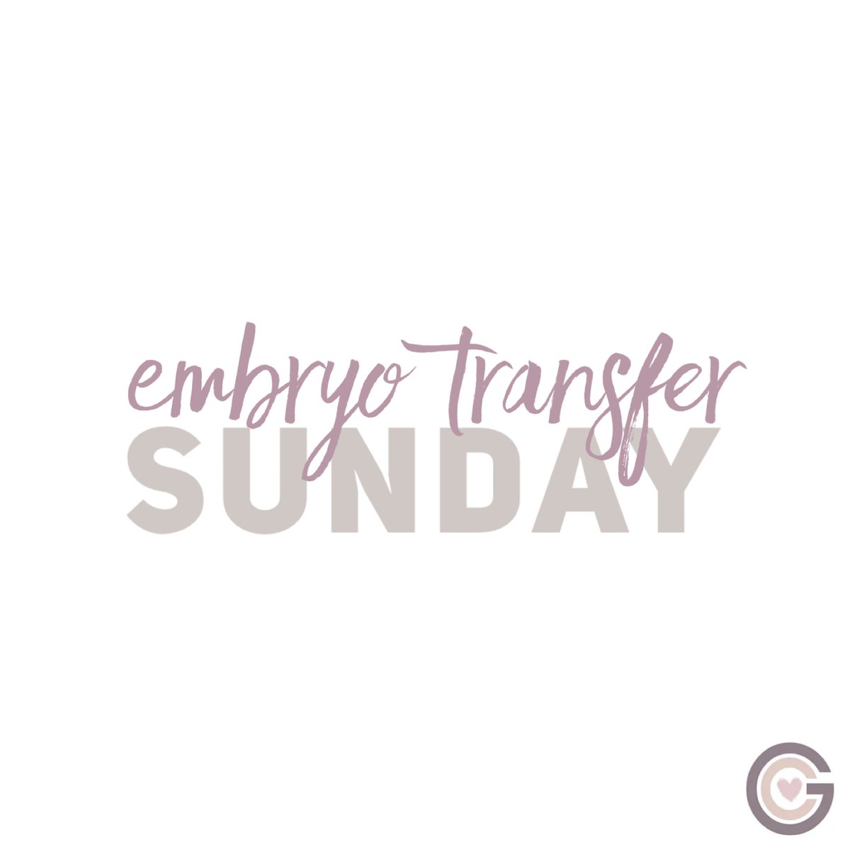 We have two transfers happening today. We’d like to send all of our sticky thoughts to gestational carrier E. &amp; J. today!!! Lots of love and positive vibes today on your transfers!! 💕 

Love,
the GC Family
