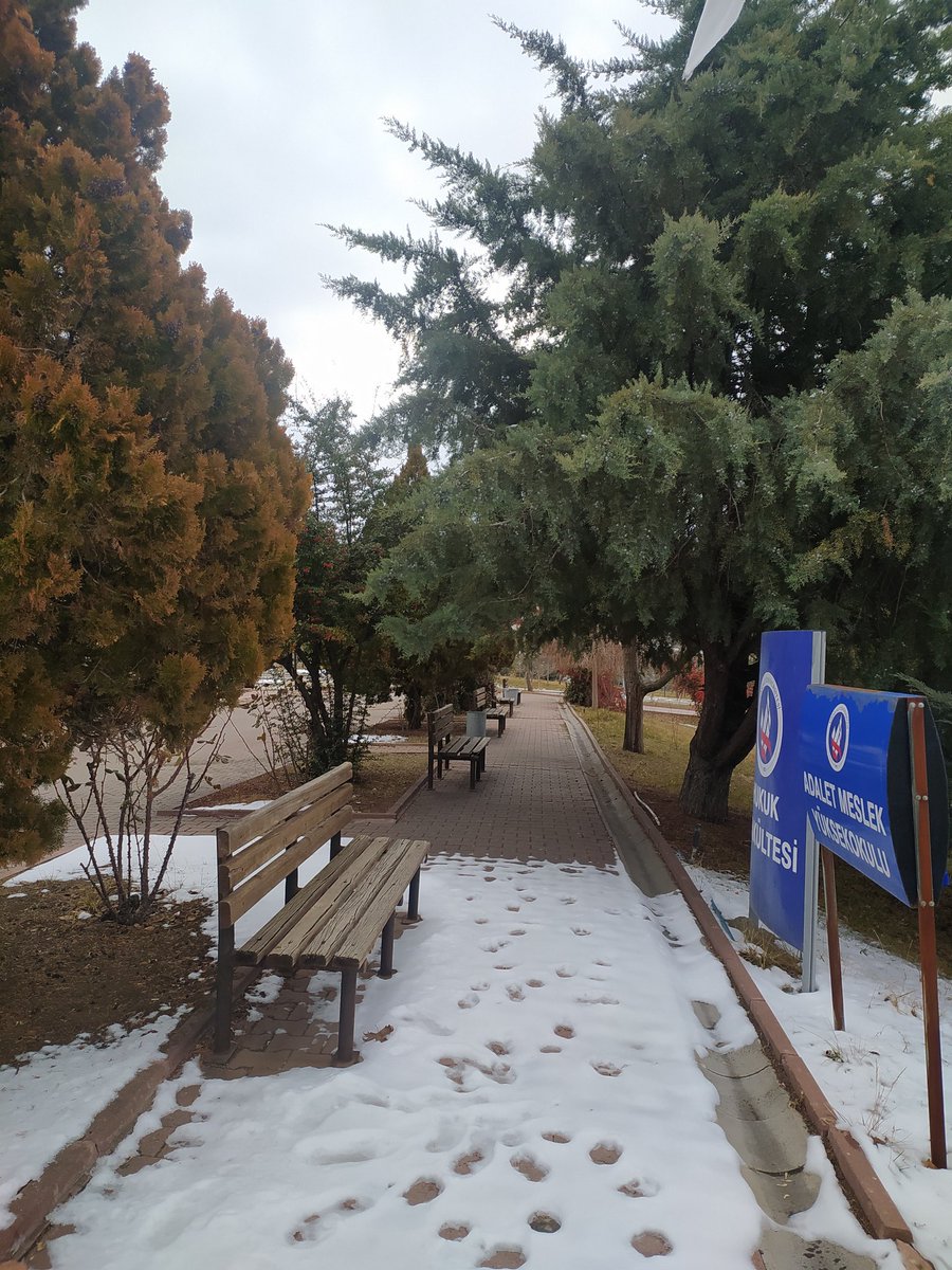 smyya_e's tweet photo. Bir daha bu yolları aynı hevesle yürür müyüm... https://t.co/YRnHBiBM6L