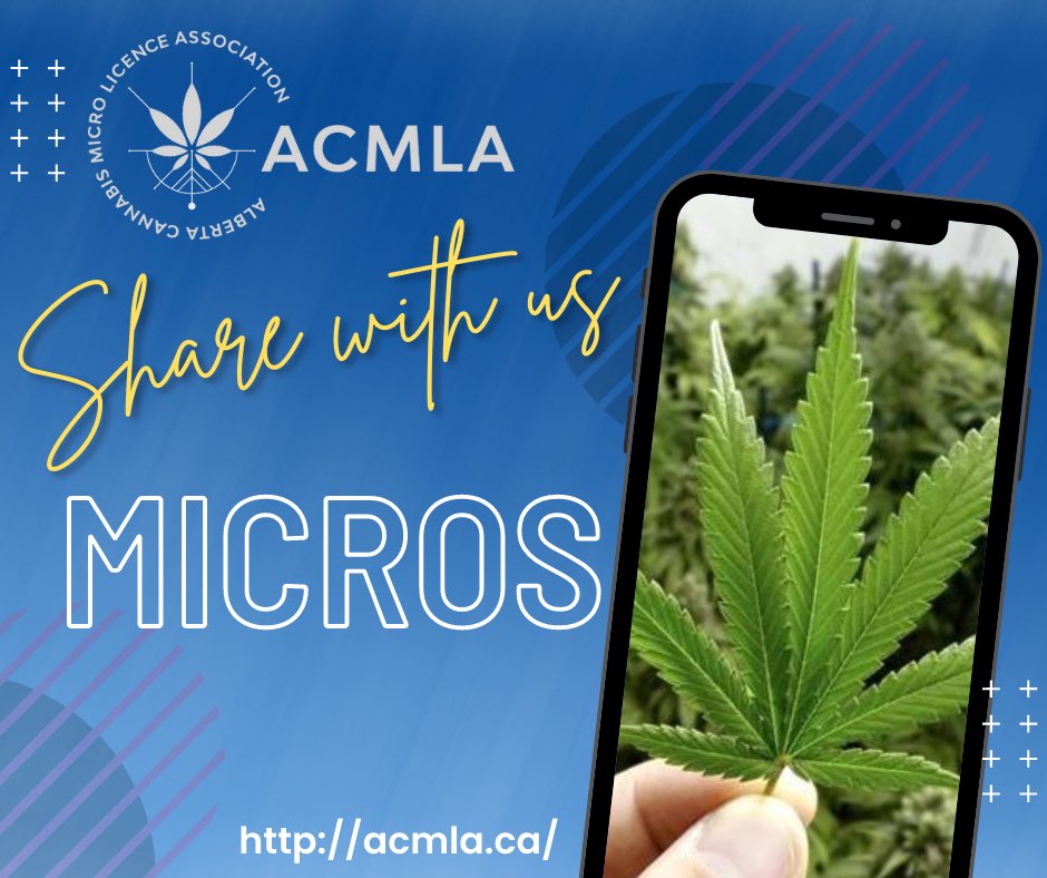 ACMLA1's tweet photo. The ACMLA would like to support the Cannabis Industry by sharing events, educational opportunities and information. We are asking Alberta Micros to join us in sharing with us. Let us work together to promote positive outcomes. #cannabiscommunity #albertamicros #association #acmla https://t.co/Sd2sPHjlSq