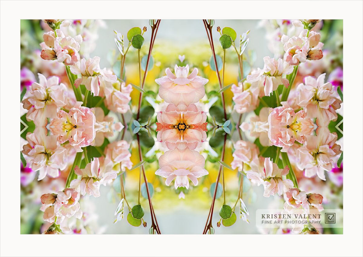Happy Sunday everyone. Taking it easy for the next day so that my eyes are rested for the next curated gallery on Tuesday/Wednesday. 

Dropped a few new pieces on <a href="/foundation/">Foundation 🌐</a> yesterday with #manifold if anyone is interested. 

Pinned tweet could use some 🔻

#photograghy