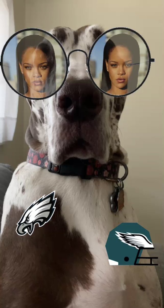 pmohs's tweet photo. We are ready!! @Eagles @Chewy @ProPlan #EaglesNation #DANEtastic #RihannaSuperBowl #Eagles #SuperBowl #FionaMaryJane @rihanna https://t.co/5bbkQoMY0F