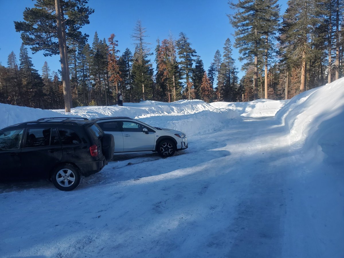 ntrip.bsky.social tweet media