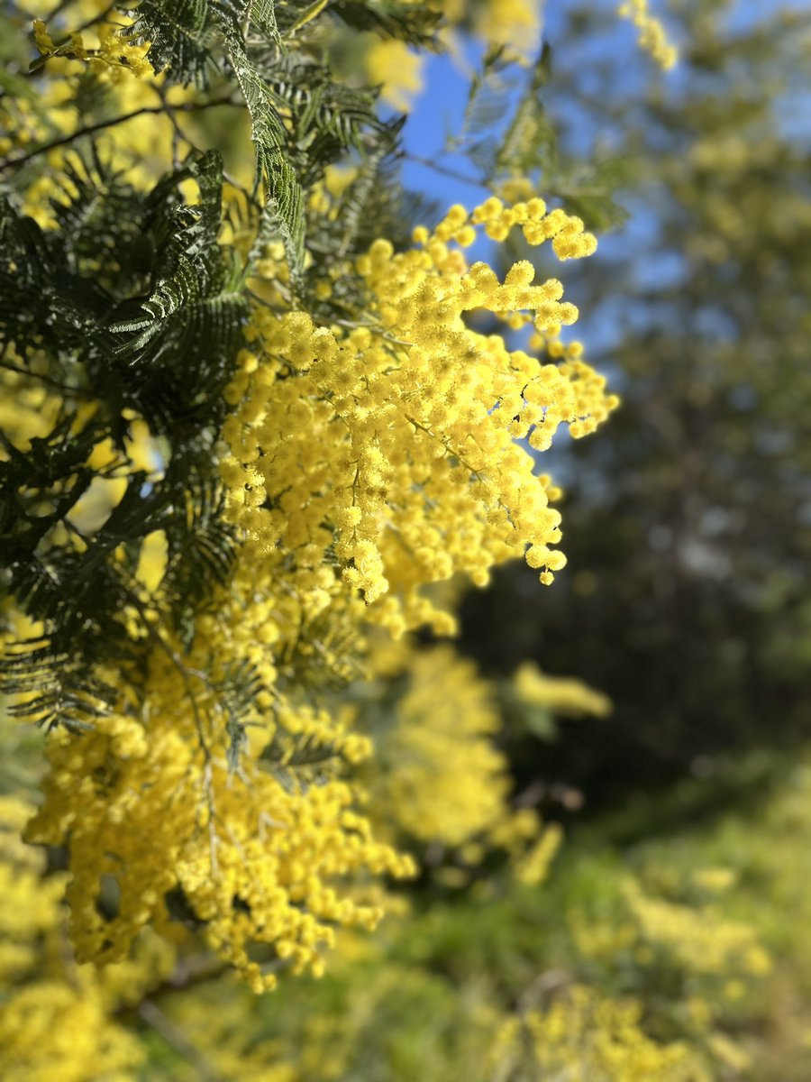 Côte d'Azur France tweet media