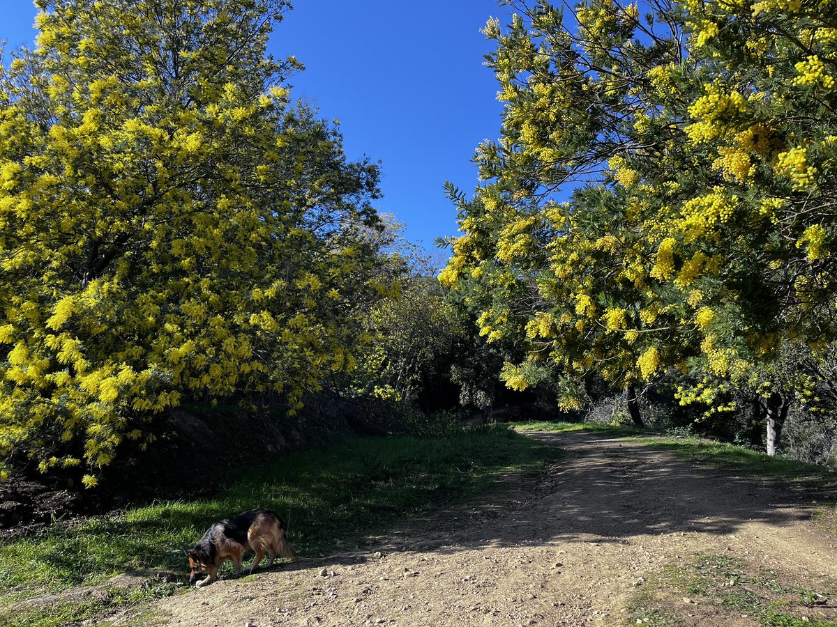 Côte d'Azur France tweet media