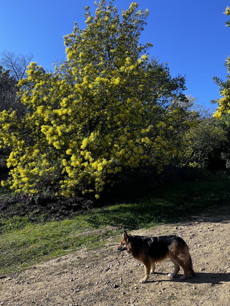 Côte d'Azur France tweet media