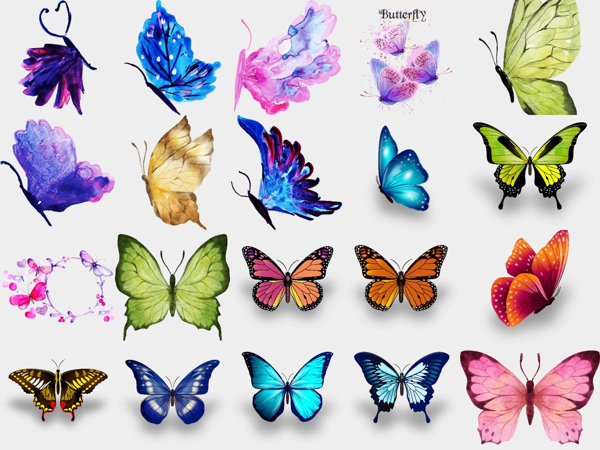 etsysvgdesign's tweet photo. Butterfly Clipart PNG Collection – Bold, Stunning Images for All Your Projects,Butterfly Bundle Illustrations,Instant Download https://t.co/nCqbB5snTo