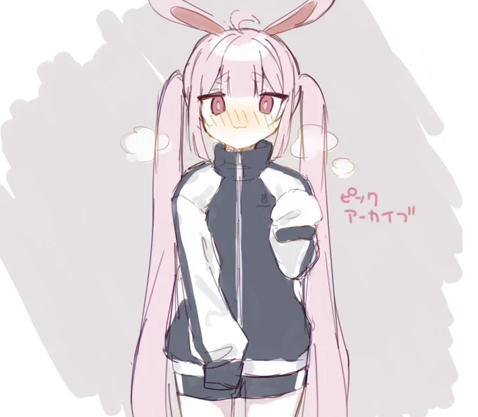 これが、ピンクアーカイブ、、、 