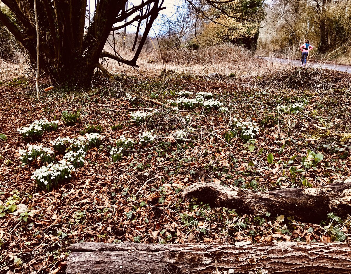 racksy's tweet photo. This morning’s 14 mile run was a distance PB for me. Thanks for your company fellow Hatchies, especially Lizzie and Clare. We celebrated with coffee and mahoosive cakes at Street Bakehouse. Thanks for your encouragement and organisational skills Victoria 🙂https://t.co/uOWCYkQY7d https://t.co/tCDcEjNVXg