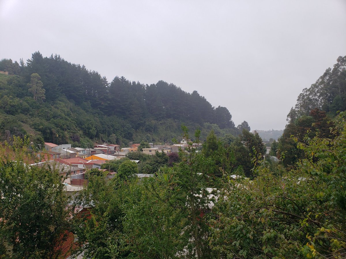 flerzund's tweet photo. Así amaneció por acá, nublado, con 'ganas de llover'. Ojalá así sea, para ayudar a terminar con esta pesadilla #IncendiosForestales #EmergenciaBiobio #IncendioForestal #Biobio #IncendiosTomé https://t.co/tHuTNvVLmb