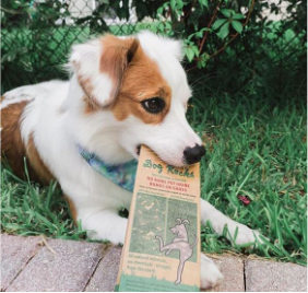 Thank you for believing in Dog Rocks - they are a wonderful natural product that help stop pet urine burning grass if used correctly.  Please do spread the word by tagging friends. Here we share our eco pact - ZERO plastics #ecopact #zeroplastic #garden #pet #dogurine