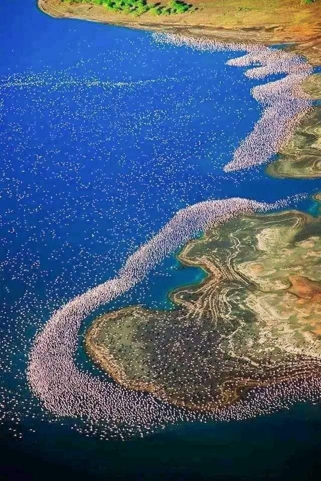 Nakuru's Sustainable Urbanisation pushed by the former governor should not be reversed...