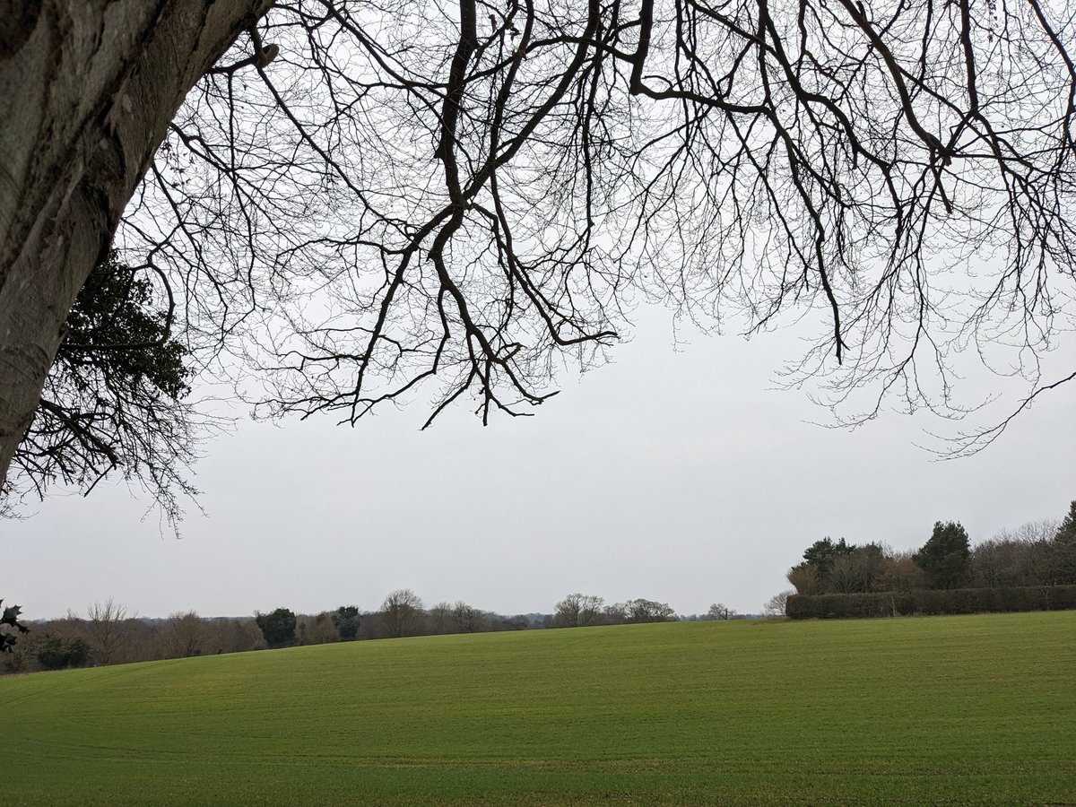 DawnAJWitney's tweet photo. Great way to start the day, hawthorn leaves opening, breakfast and cake! Back to the MS now.
#breakfastbap #signsofspring #norfolkskies #valentinecupcake #writerslife #historicalromance https://t.co/wdQQ1OhApu