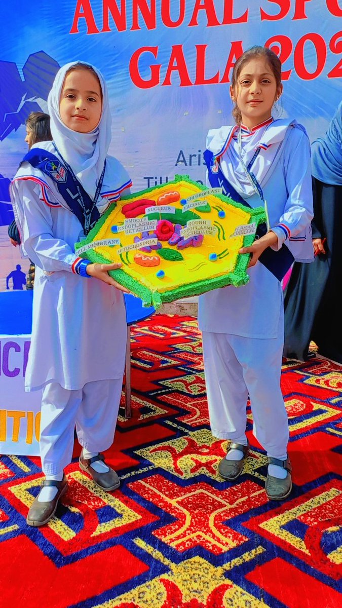 LifeSchools2002's tweet photo. Science Exhibition 2023 at Life School System City Campus Farooqabad.
https://t.co/ESI6SNC4Nc.pk0300 1021116
#science #learning #education #project #lifeschool https://t.co/pt66ScveNx
