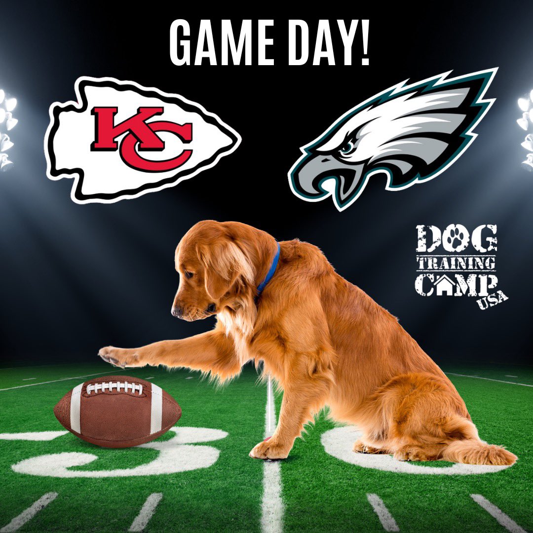 DTC_USA's tweet photo. Whether you are watching the Puppy Bowl or the Super Bowl, remember to exercise your dog before game time! Take them for a walk, play a game of fetch, or break out their snuffle mat so that when guests arrive they will be ready to relax &amp; settle. #SuperBowl #PuppyBowl https://t.co/4SAWQW6S4a