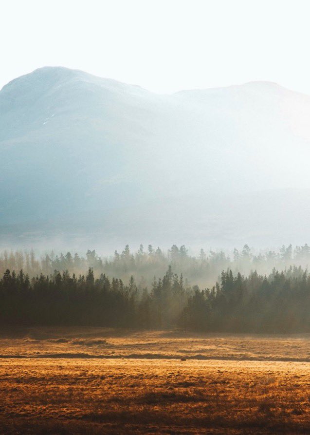 Gm from a Scottish sunrise in the highlands 🌅