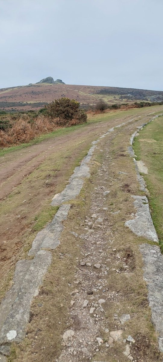 Haytor granite tramway #Dartmoor 
200 years old!