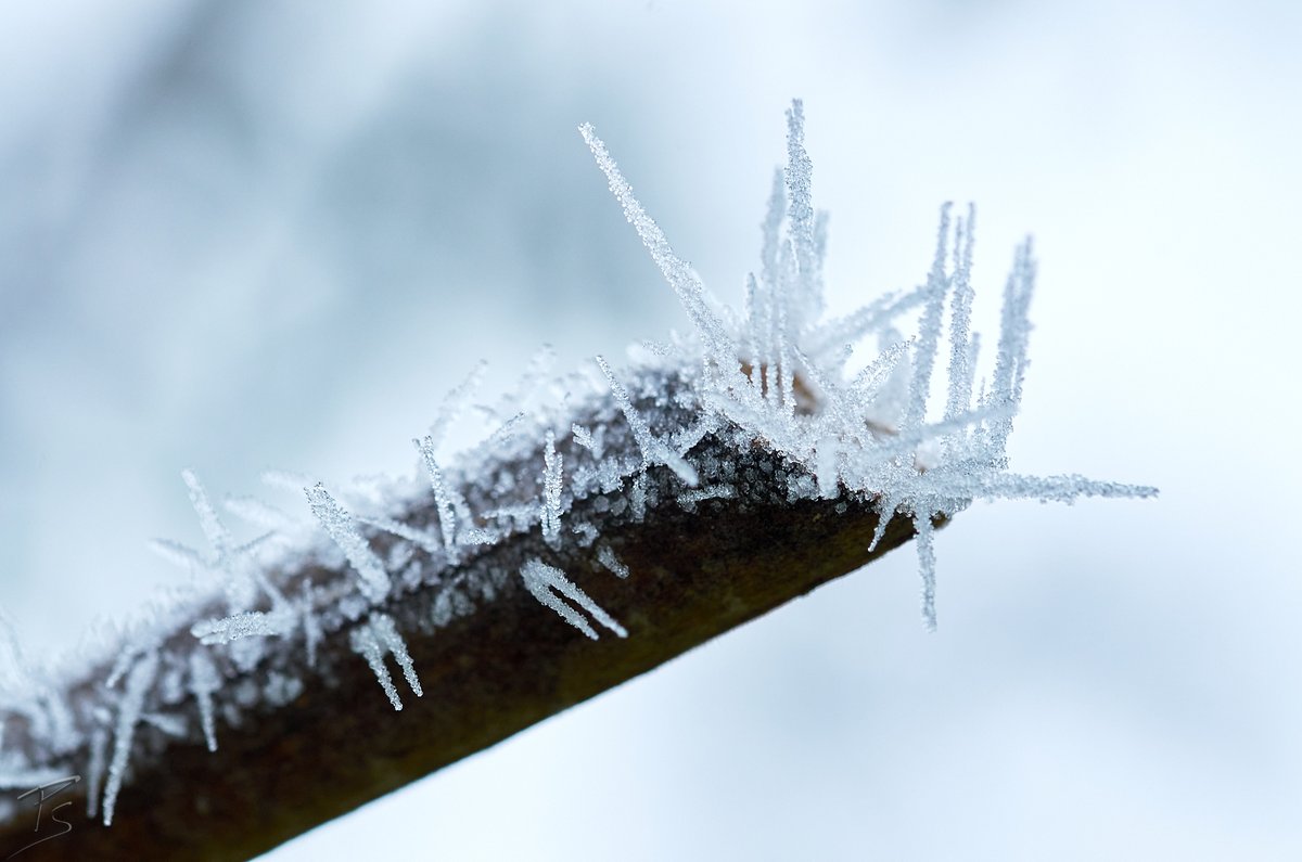 Kälte

#photography #fotografie #macrophotography #closeup #ice #nature