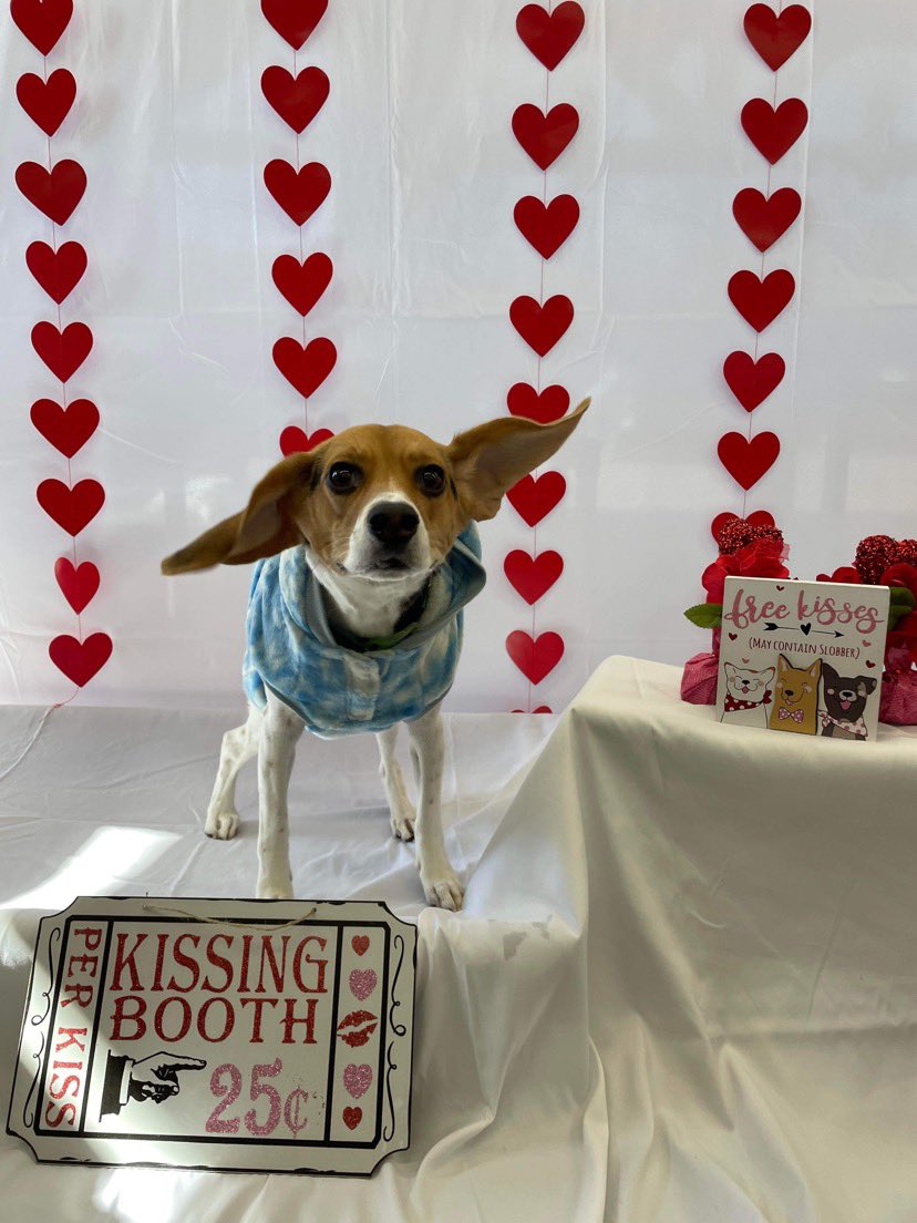 hanna_the_emo's tweet photo. My valentine 💜 https://t.co/exD5L1vG1T