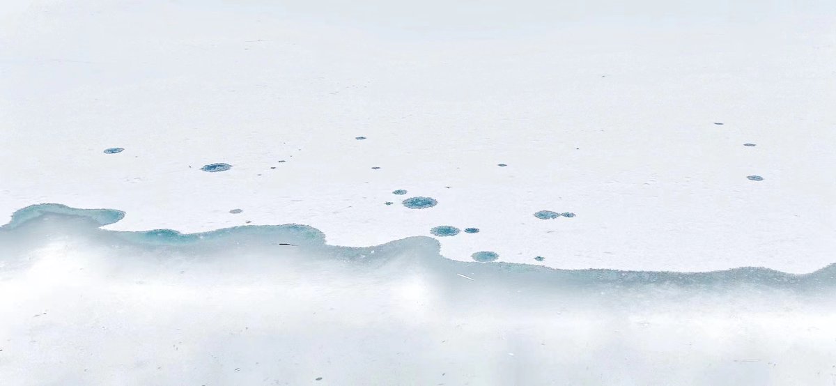 PKU1898's tweet image. As the breeze gets a bit less bitter and the frozen #WeimingLake starts to melt, #Springisnear! 🌸

#PKUinWinter | 📷: Huang Yumei