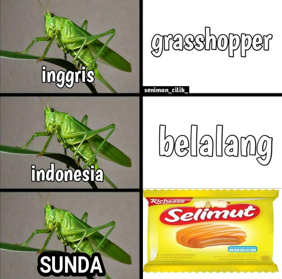 Ketawa itu GRATIS 🛩 tweet media