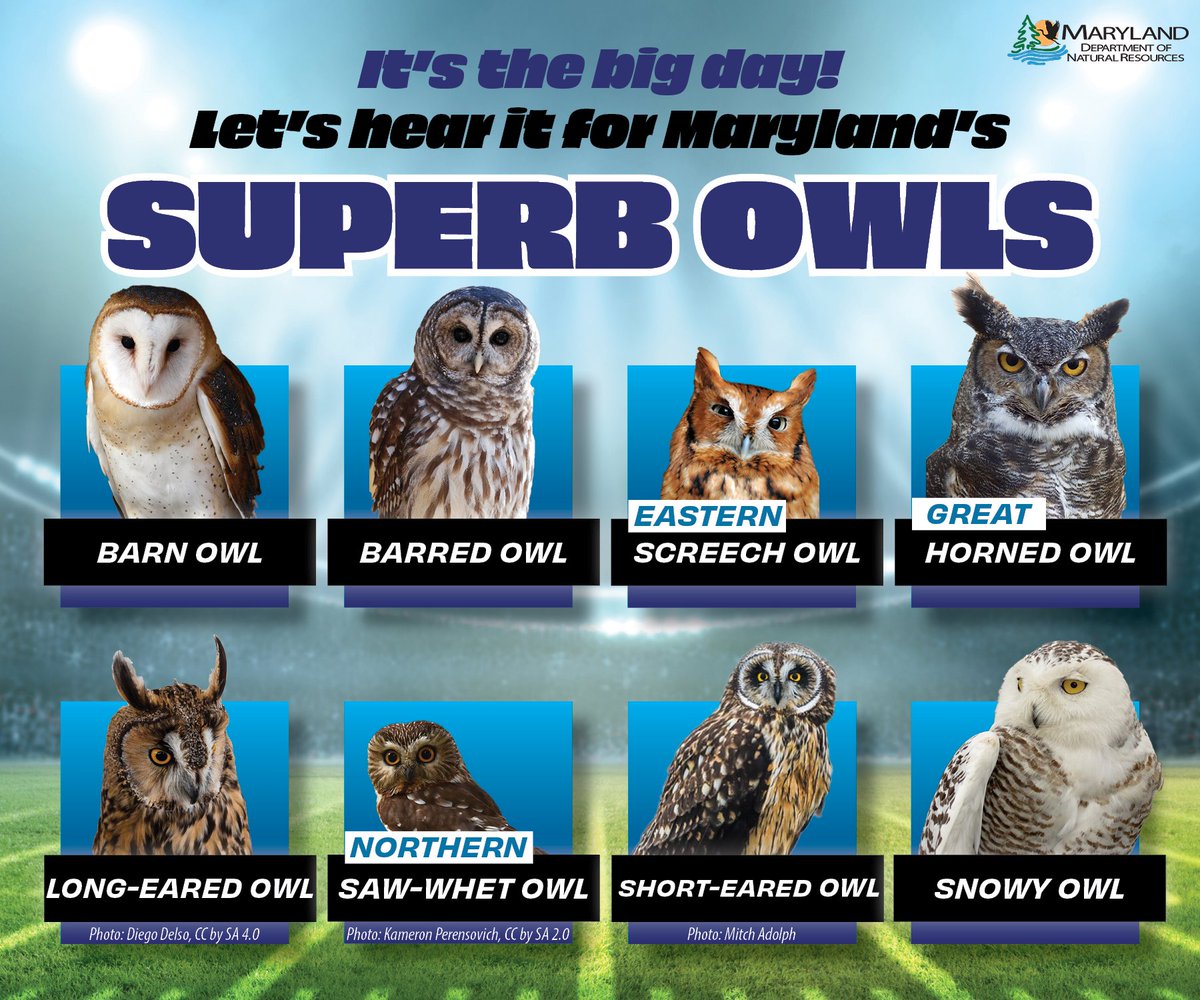 MarylandDNR tweet picture