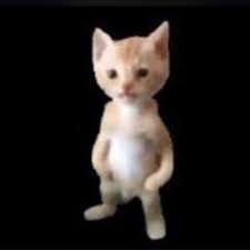 Broken Bolt ≶ tweet media