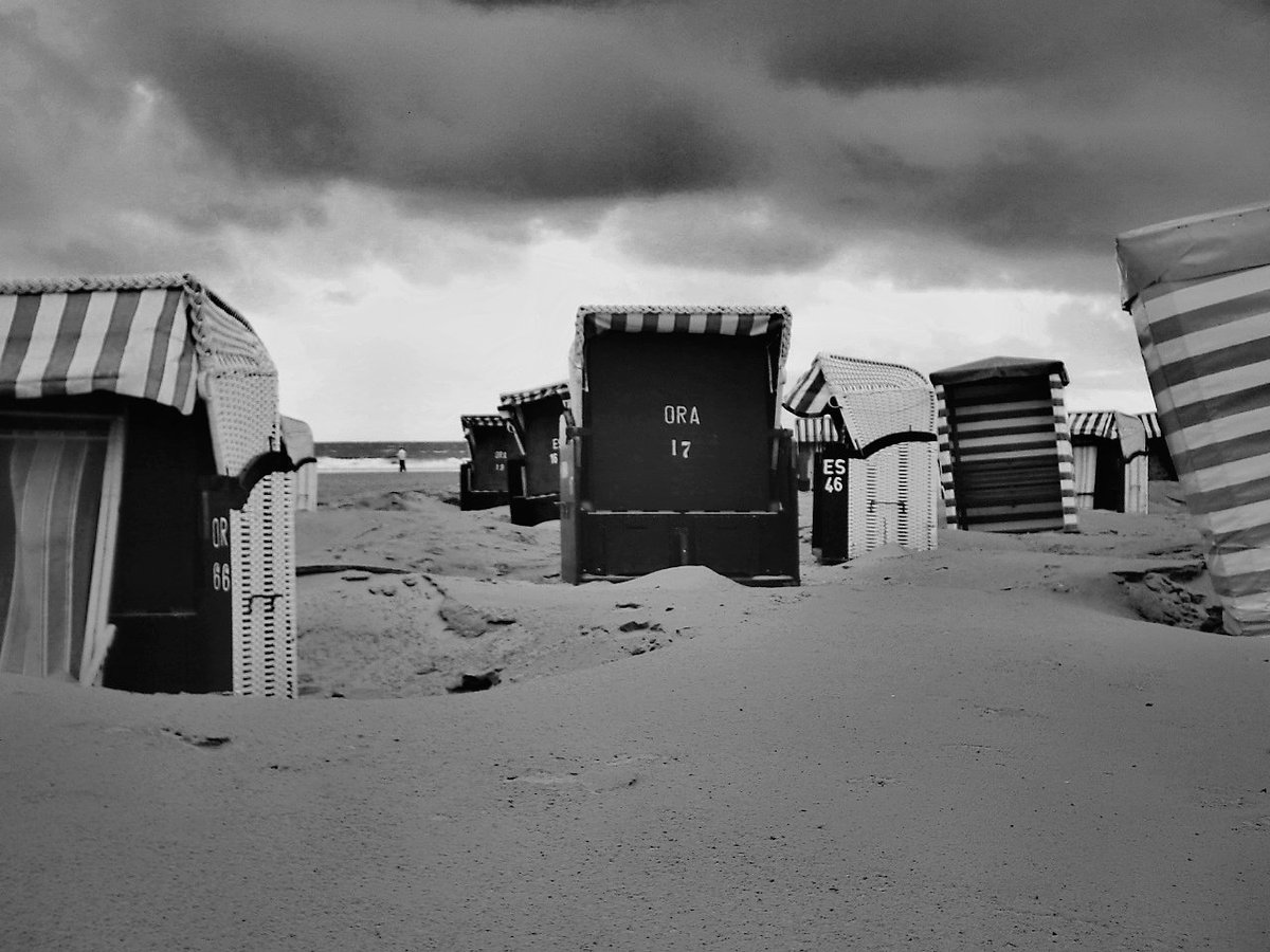 lifeisbetteratthebeach.
#NaturePhotography #blackandwhitephotograpy #ThePhotoHour