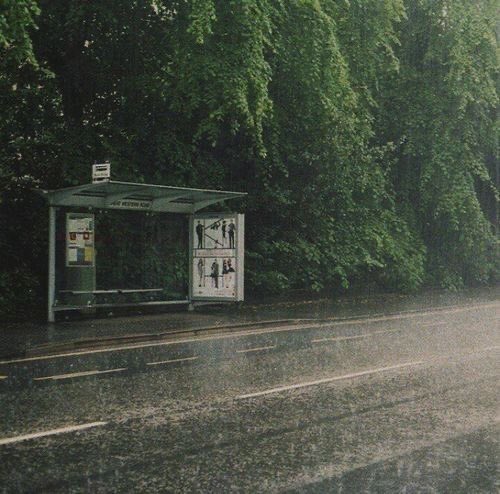 violettweets_'s tweet photo. petrichor: the smell of rainfall. https://t.co/4sleKSReYf