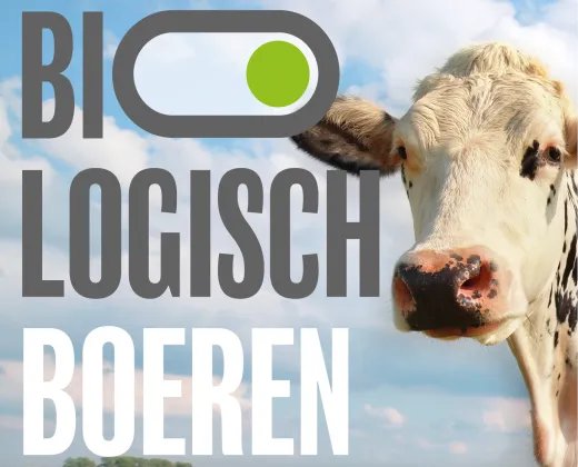 platform_NLG's tweet photo. Welke aspecten spelen een rol bij het omschakelen naar biologische melkveehouderij. @BionextTweets laat zien hoe dat kan en hebben daarnaast een podcast-serie van podcast afleveringen opgenomen #bodem #gras #diergezondheid #welzijn #rantsoen en ##economie
https://t.co/FMm9UxelEn https://t.co/3XKop8x6nS