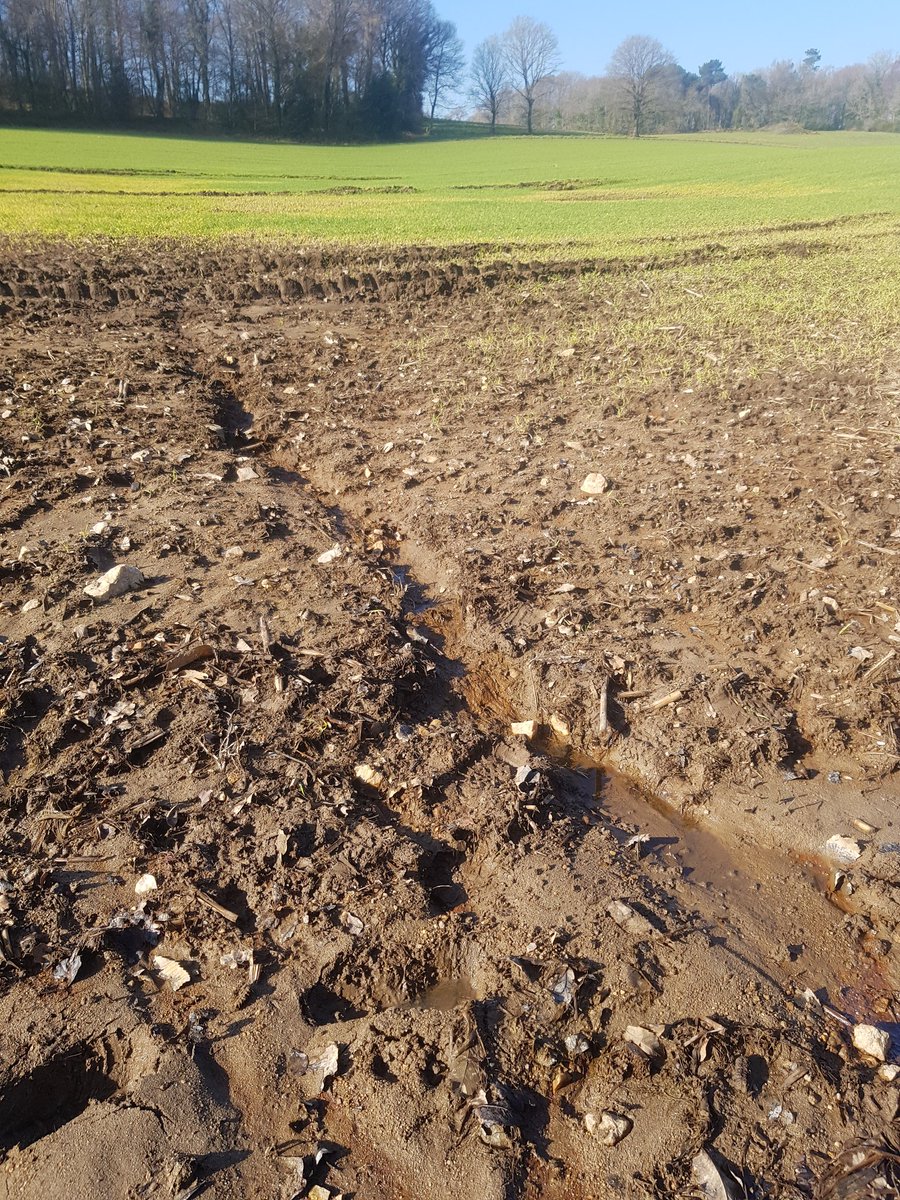 YFLugue's tweet photo. Voila ce qu'il se passe quand certains sont obsédés par les rendements agricoles et détruisent les zones humides. Ils "débeurrent" la terre nourricière. #Melrand #SaintBarthelemy https://t.co/KAfwH0s5YI