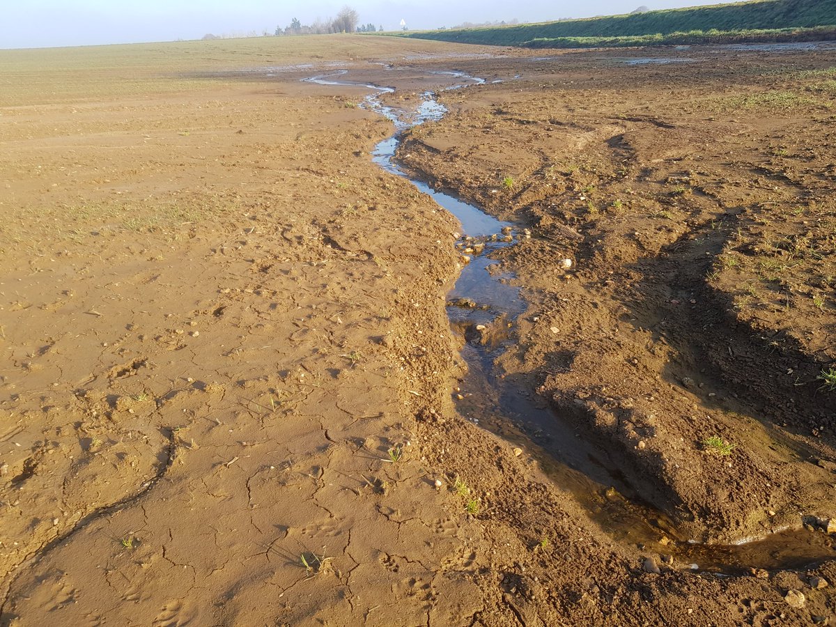 YFLugue's tweet photo. Voila ce qu'il se passe quand certains sont obsédés par les rendements agricoles et détruisent les zones humides. Ils "débeurrent" la terre nourricière. #Melrand #SaintBarthelemy https://t.co/KAfwH0s5YI