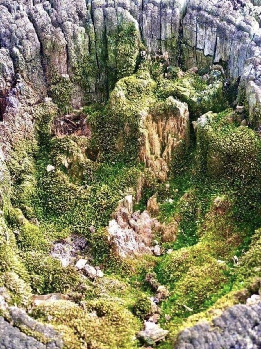 bentd76's tweet image. National park? (No, the top of a fence post) awesome though isn’t it?