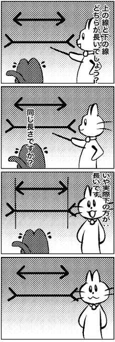 #いわねこ
270 