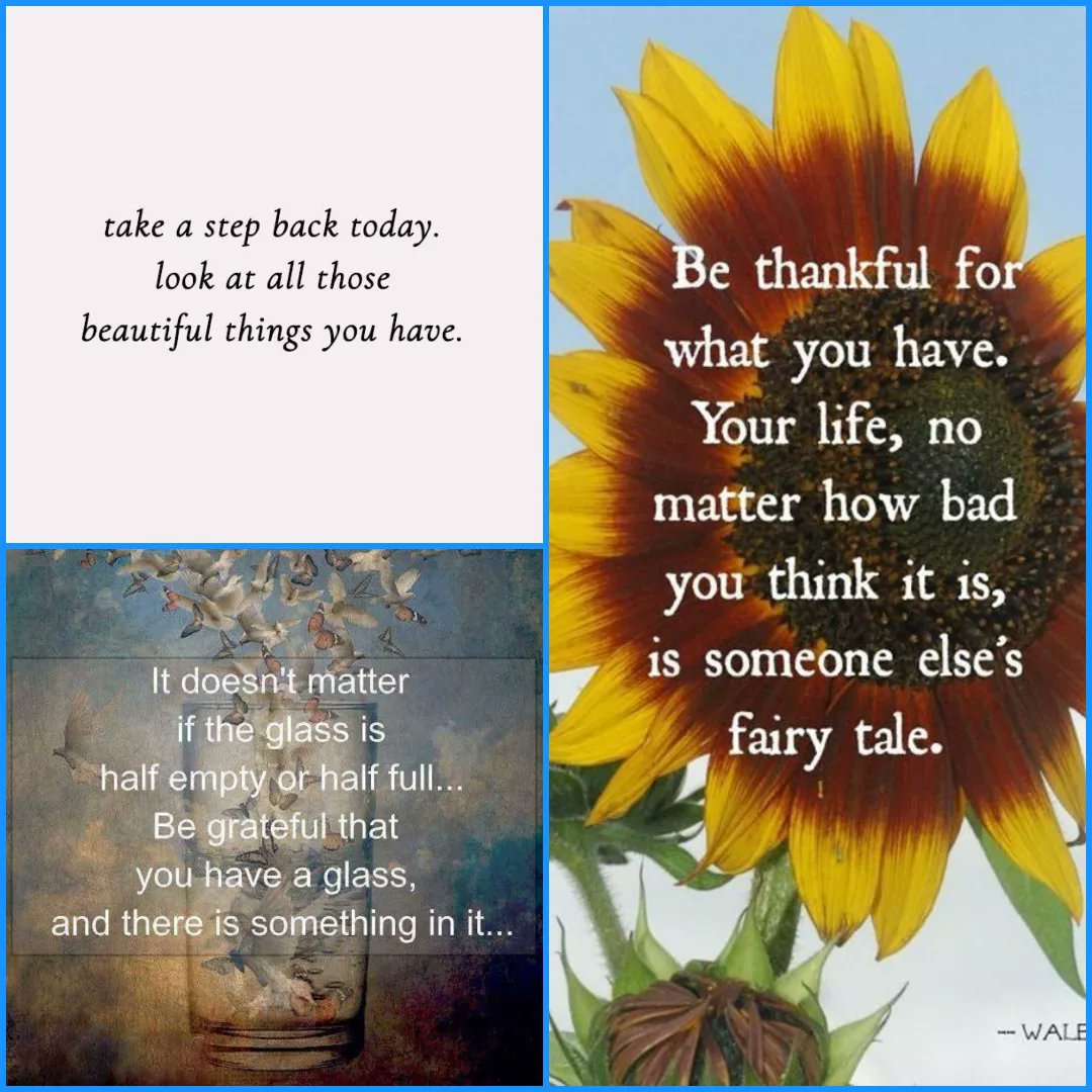 By practising daily gratitude we alter our perception....being thankful for our life as it is, not how we think it should be. Appreciate the small things because they matter to someone who isn't so lucky to have them 🌈
#gratitude #appreciation #perception #mindfulness #wellbeing