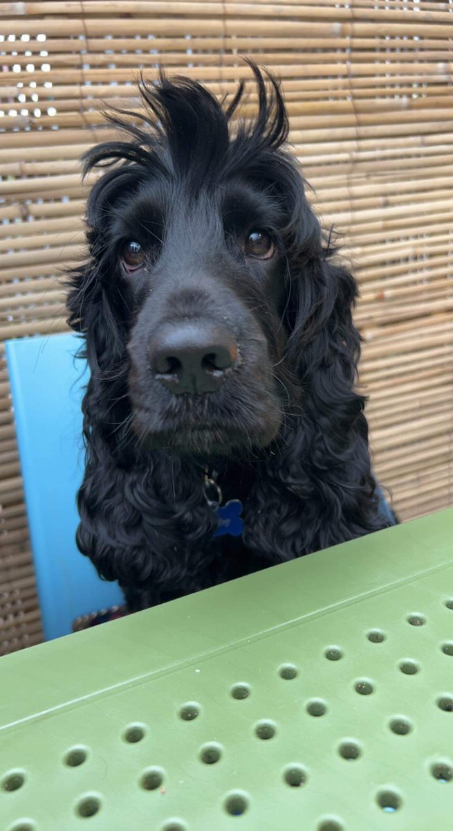 <a href="/springmountgc/">Springmount Garden C</a> Coffee date ❤️
#ValentinesDay