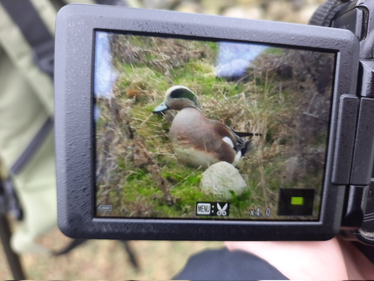 Jack Driver (ELOC) tweet media