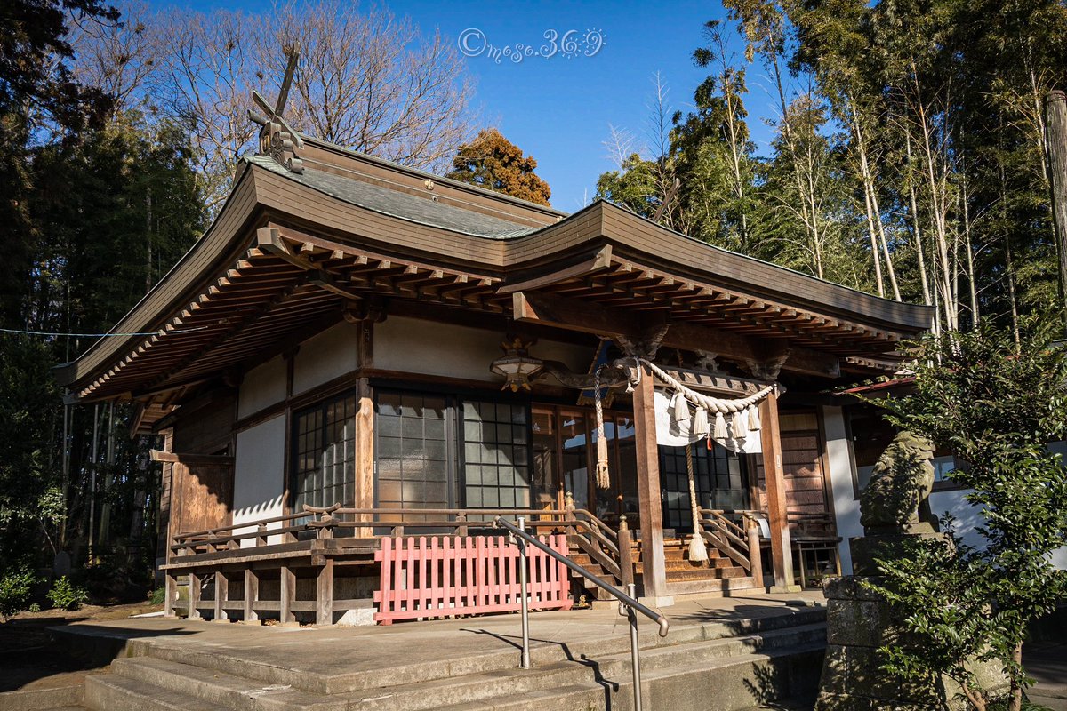 369_moso's tweet photo. #平出雷電神社 参拝③。

社殿前に三対目の狛犬が奉納されていました。 https://t.co/sJG5Sb0z7C