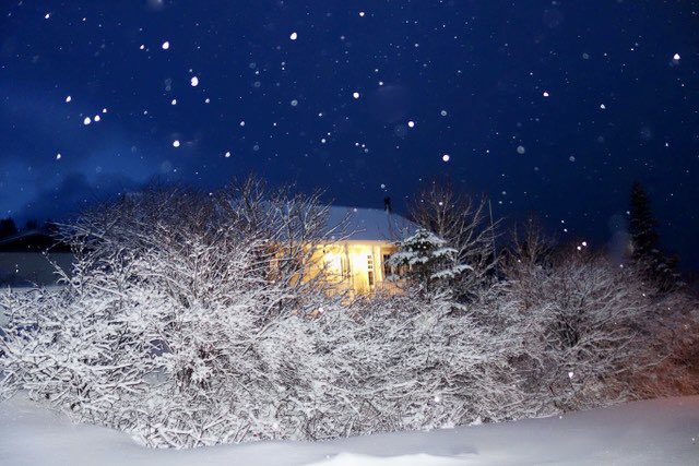stan_sdcollins's tweet photo. The lights at 20 Birch Lane twinkling on the freshly fallen snow when I arrived home last night from taking. Few pictures. https://t.co/3lxomeZjDm