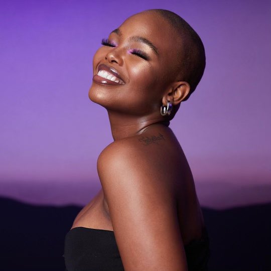 SA Film Chronicles tweet media