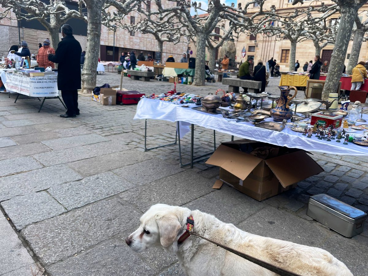 Sergio Colino 🇪🇸 tweet media