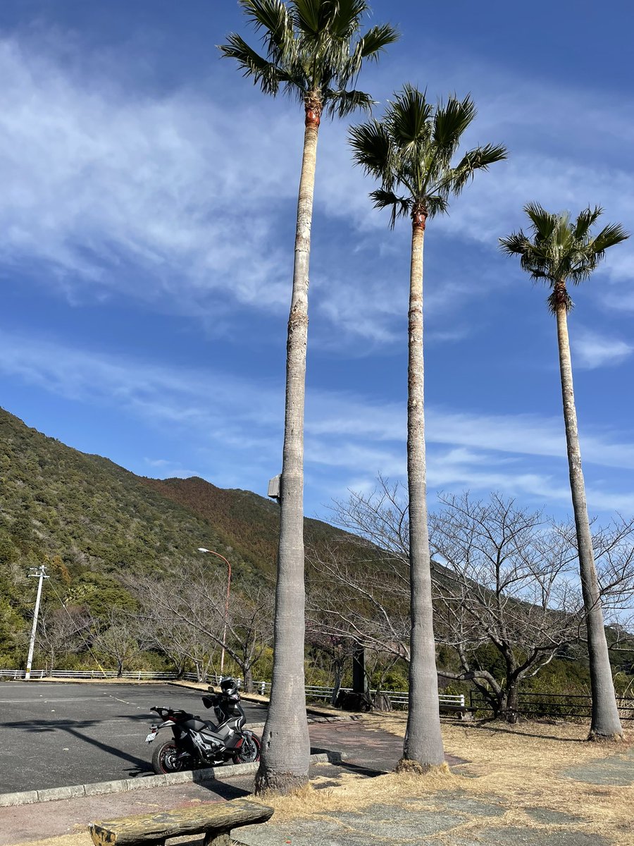 takeuchiracing's tweet photo. 春が来たと勘違いして南の方までソロで行きました。
阿波サンライン30年以上ぶりでしたが気持ちよかったです♪
#x-adv https://t.co/tfi1zvhBsK