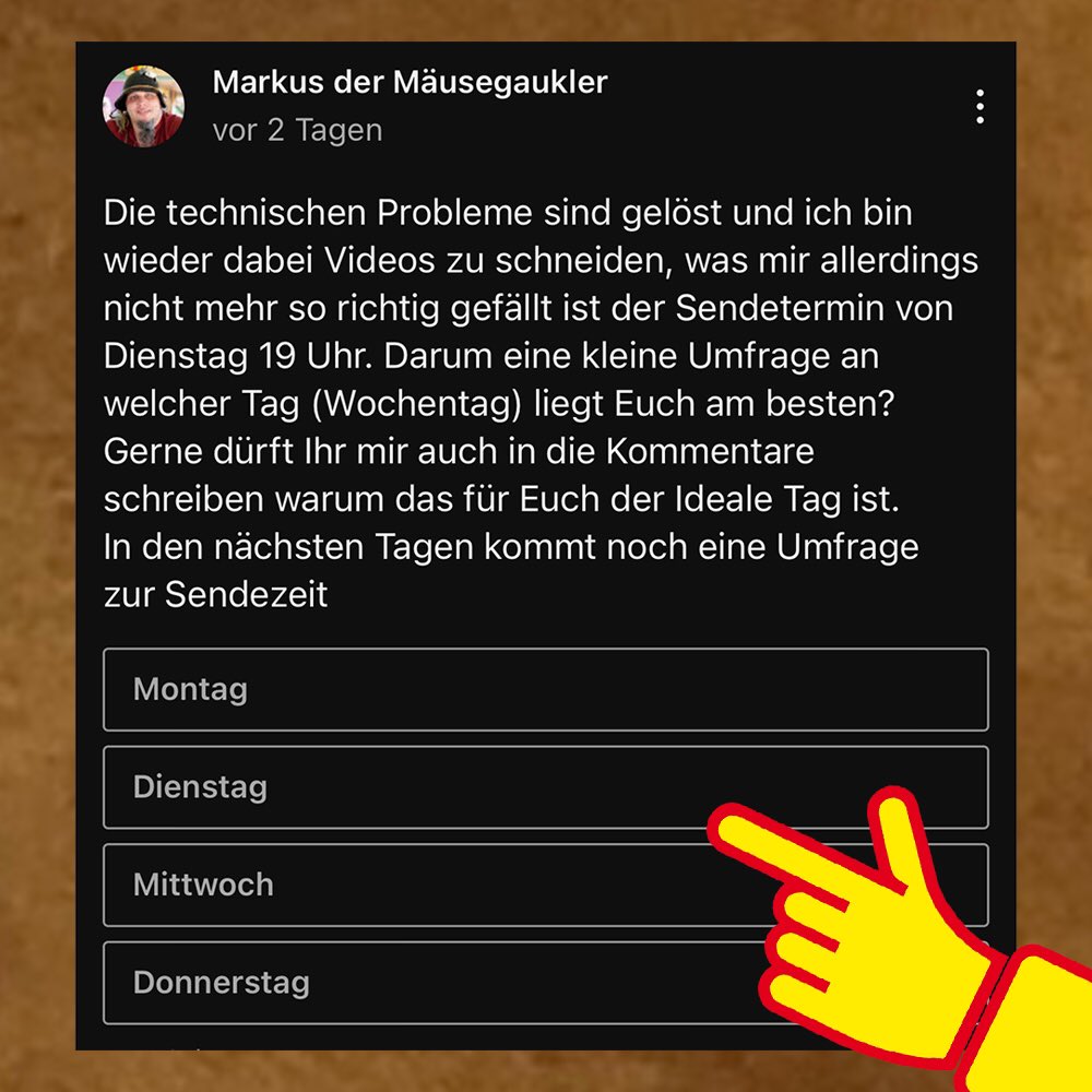 Maushausen's tweet photo. technische Probleme behoben
Neue Videos nur Wann? 
2 #Umfragen #YouTube #Communitytab
Ergebnis „Neues aus #Maushausen“ 28. Feb. 19Uhr
Freue mich über Teilnahme und Kommentare
abo nicht vergessen
https://t.co/MrGu78HR5L
#GermanMediaRT #Mäusegaukler #Mäuseroulette #Gauklermaus https://t.co/2QXnzXbeUa