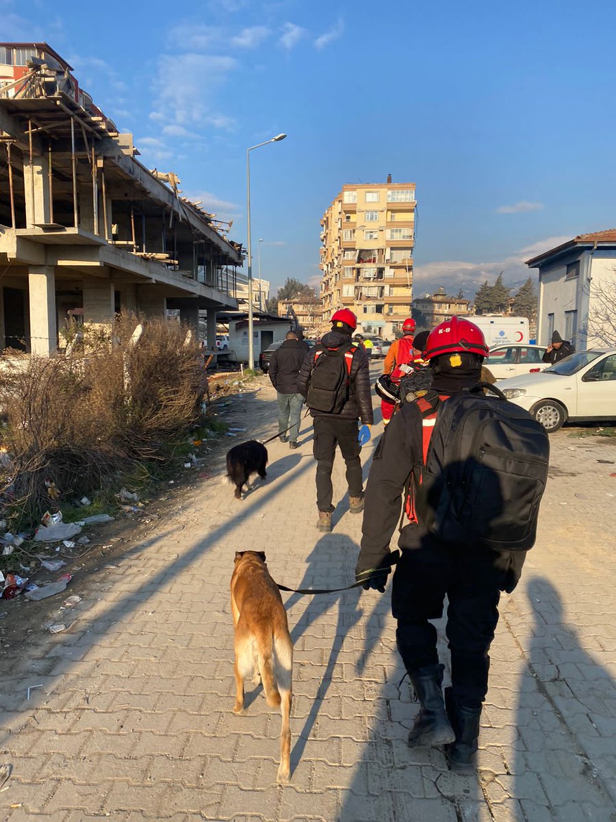 PFAOficial's tweet photo. 📸Más postales que nos llegan de #Turquía, dónde nuestros héroes de la #BrigadaUSAR colaboran con las dotaciones de rescatistas tras el terremoto. #VocaciónDeServicioPFA🇦🇷 https://t.co/YlY3gOj8lH