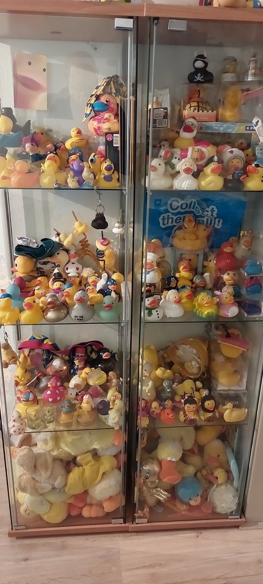 darkwingeent's tweet photo. @shouldhaveaduck Cant Just pick one duck https://t.co/UepuSu0unR
