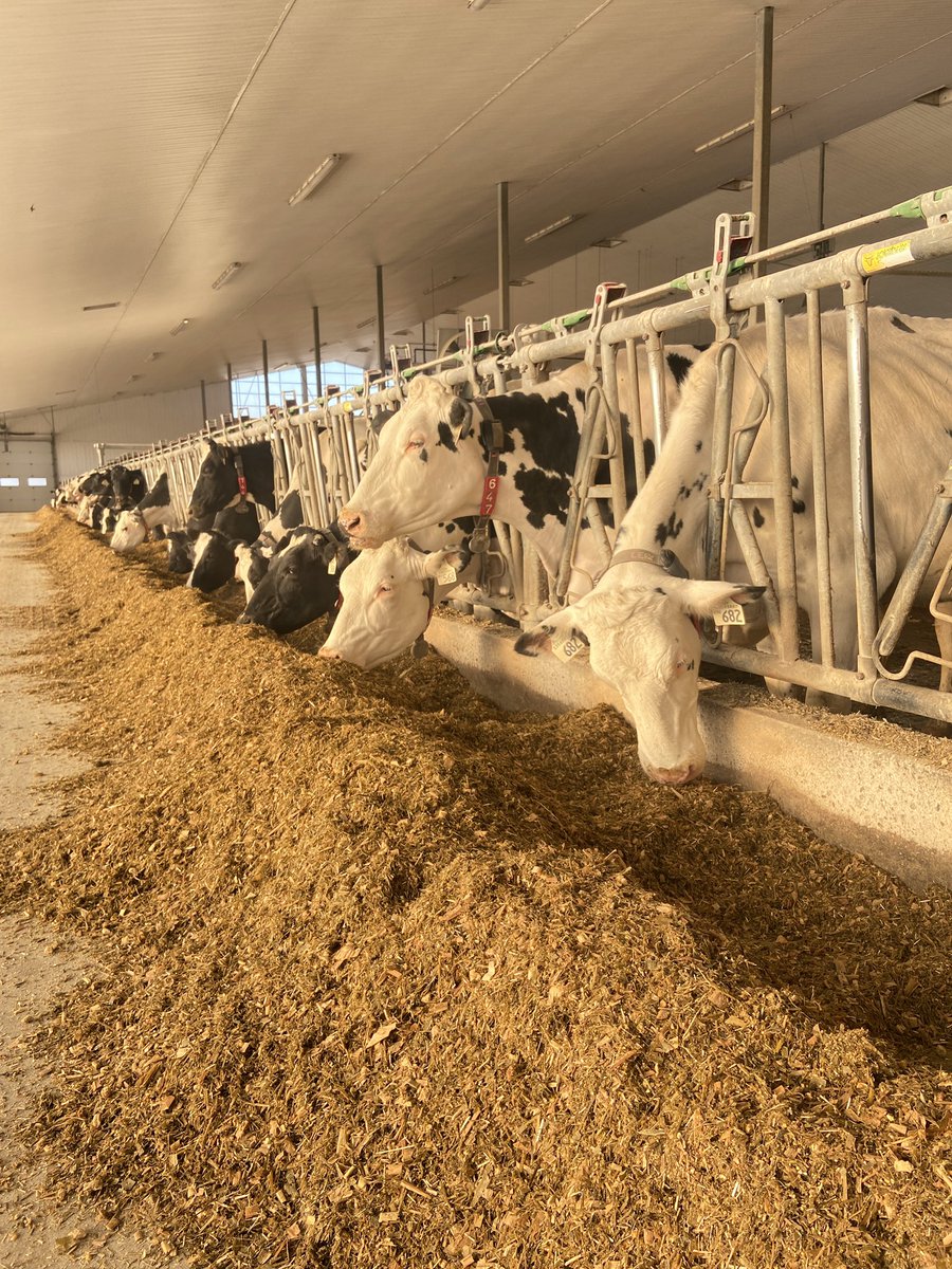 Nice to see the sunshine and the curtains open again #LongerDaysAhead