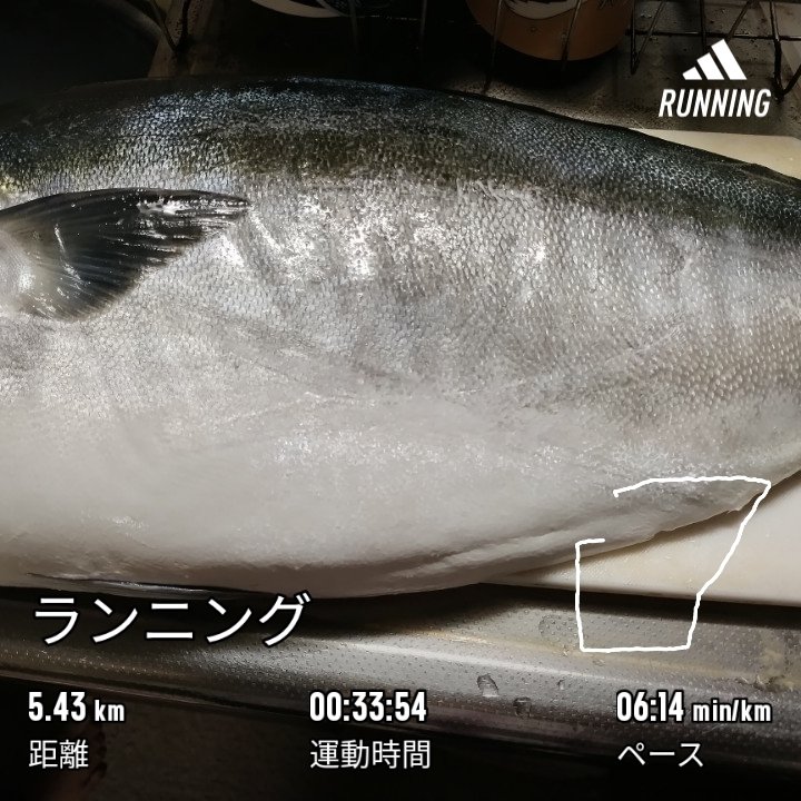 yochy312's tweet photo. 今晩も、ナイトラン🏃!
そして、ブリ🐟のフィレが来た。
#すごもり #食べ方多い #keepinshape #さかな油 https://t.co/jy2FO1zJnS