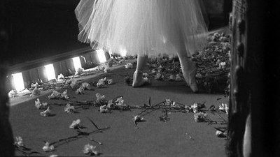 Giselle (multimuse) tweet media